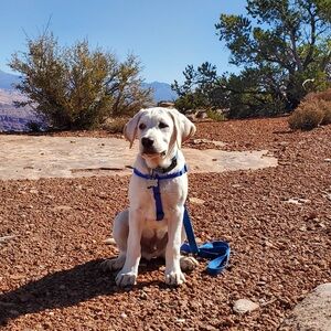 Meet your Posher, Betha